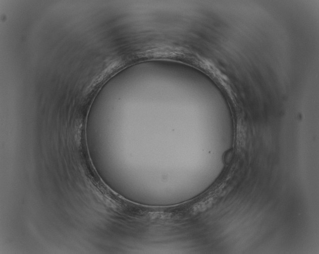 X0000089660153200707121207