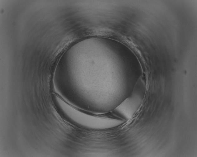 X0000089660154200707121207