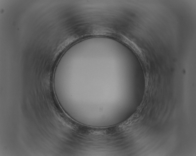 X0000089660155200707121207