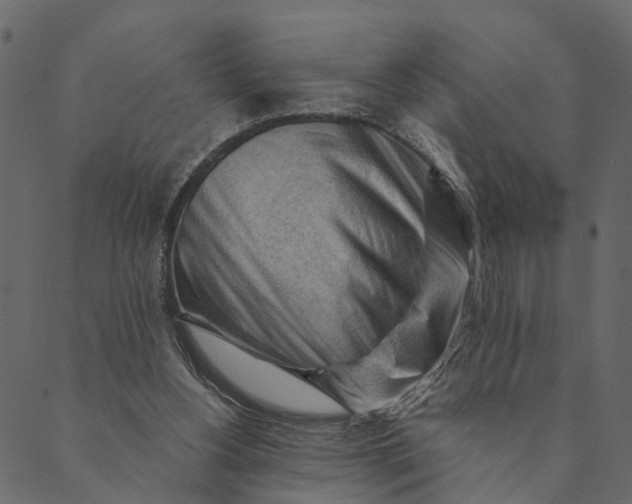 X0000089660156200707121207