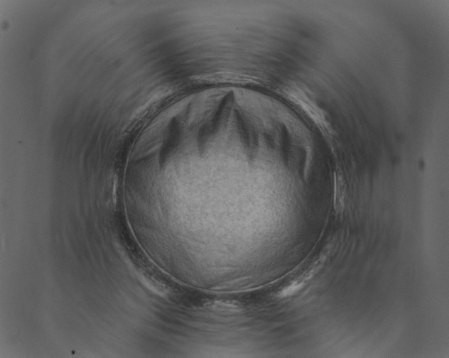 X0000089660157200707121207