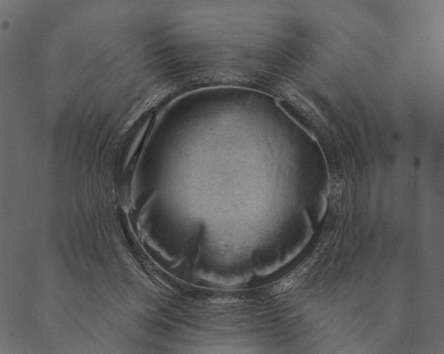 X0000089660158200707121207