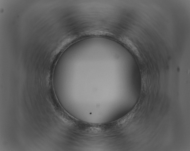 X0000089660159200707121207