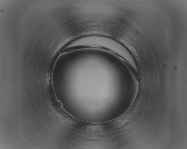 X0000089660160200707121208