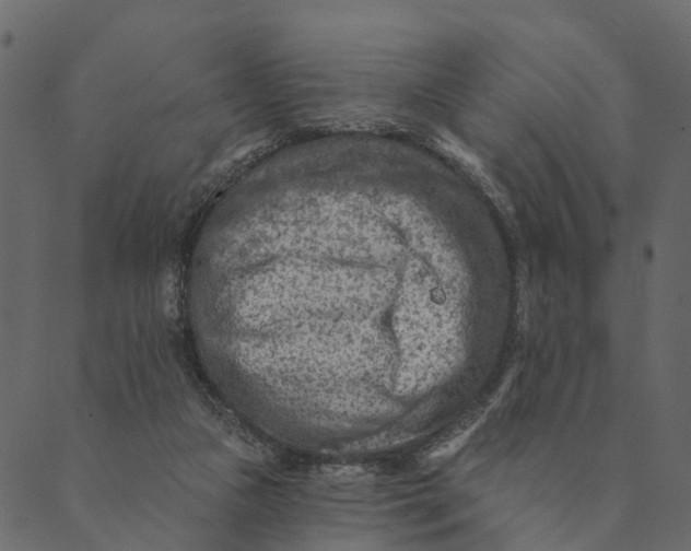 X0000089660161200707121208