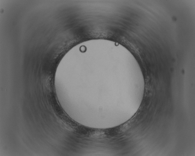 X0000089660162200707121208