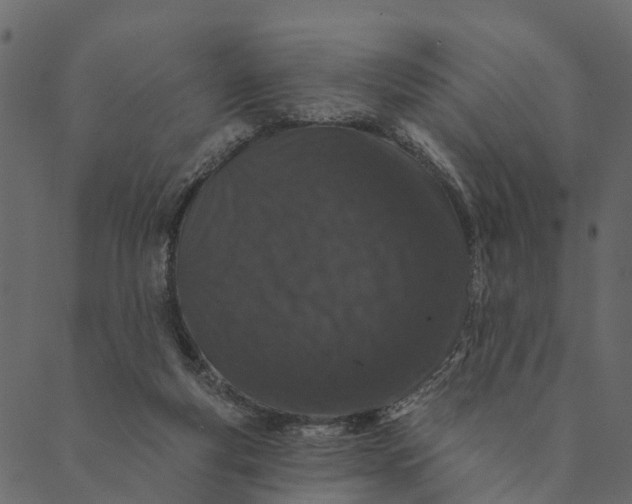 X0000089660163200707121208