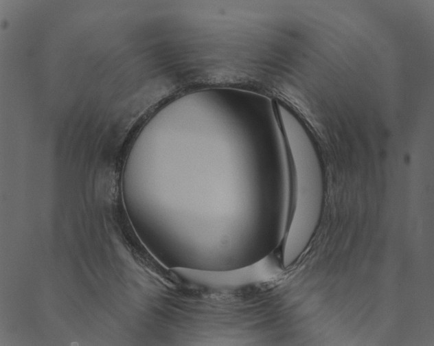 X0000089660164200707121208