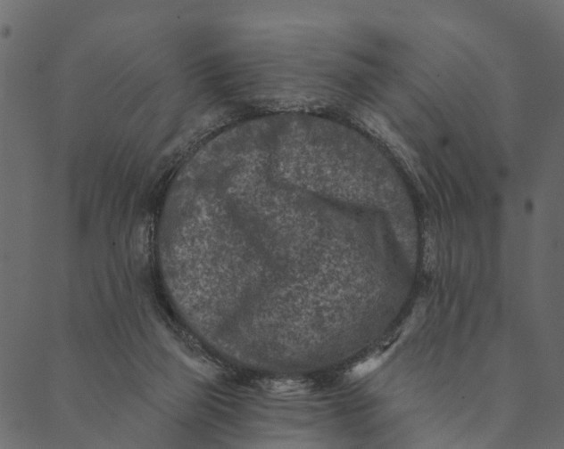 X0000089660165200707121208