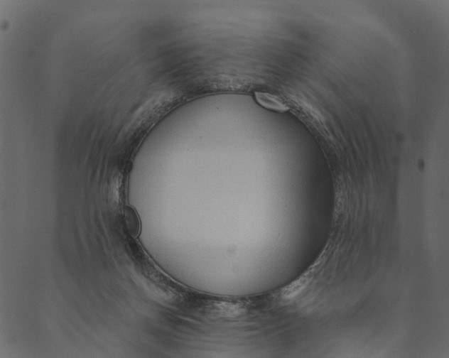 X0000089660166200707121208