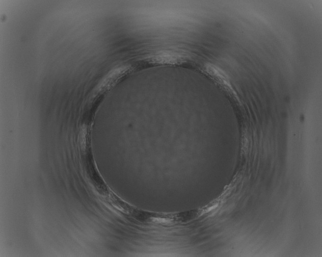 X0000089660167200707121208