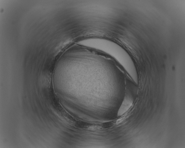 X0000089660168200707121208