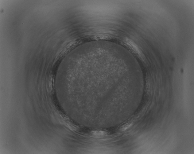 X0000089660169200707121208