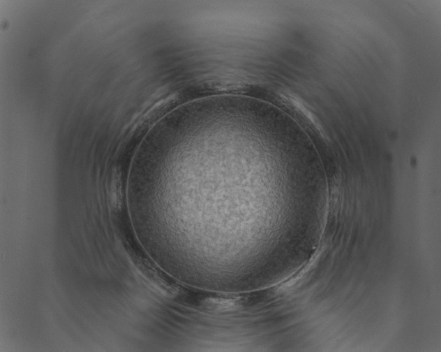 X0000089660170200707121208