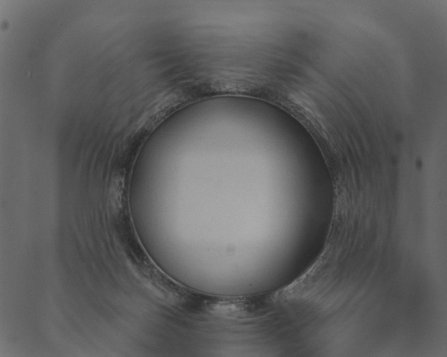 X0000089660171200707121208