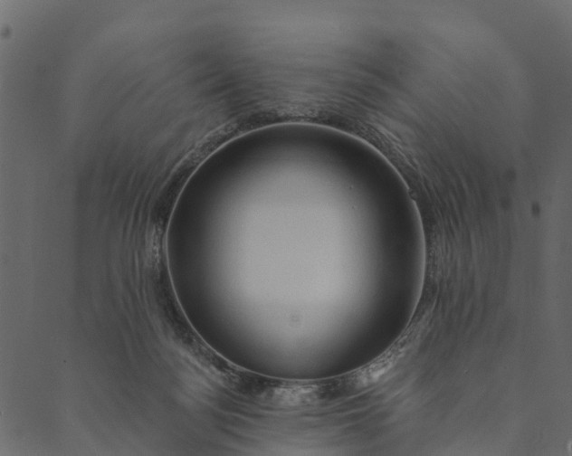 X0000089660172200707121208