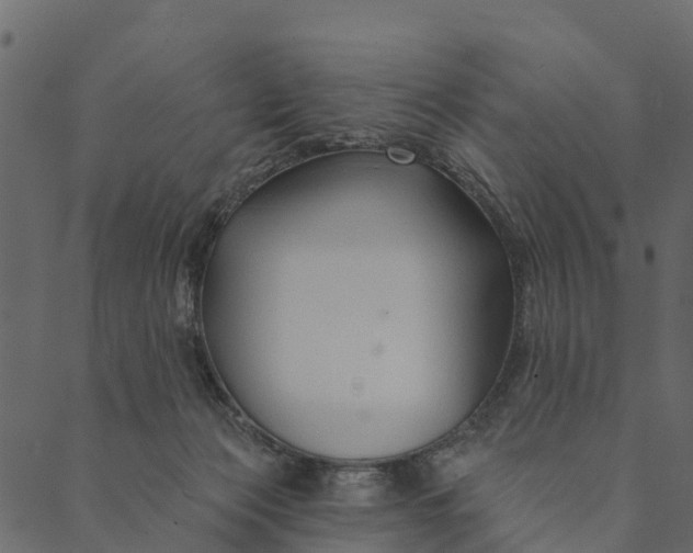 X0000089660173200707121208