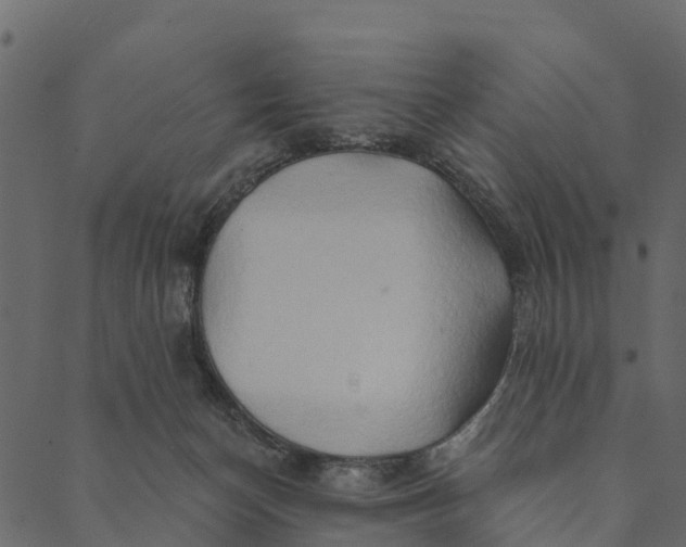 X0000089660174200707121208