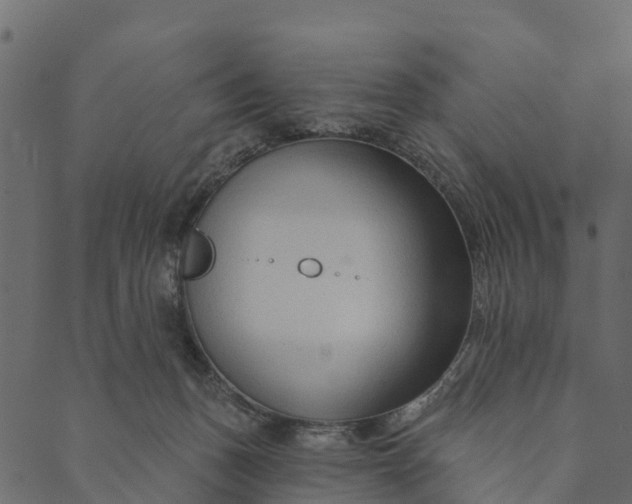 X0000089660175200707121208