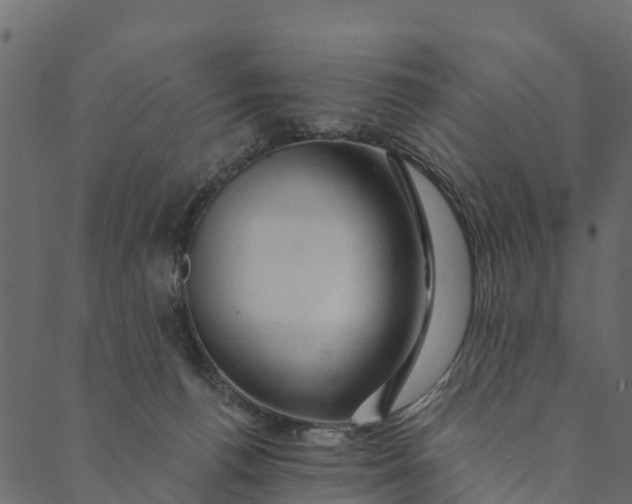 X0000089660176200707121208