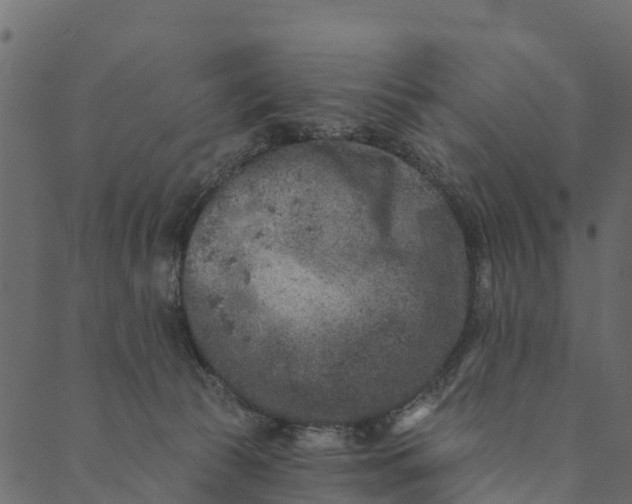 X0000089660177200707121208