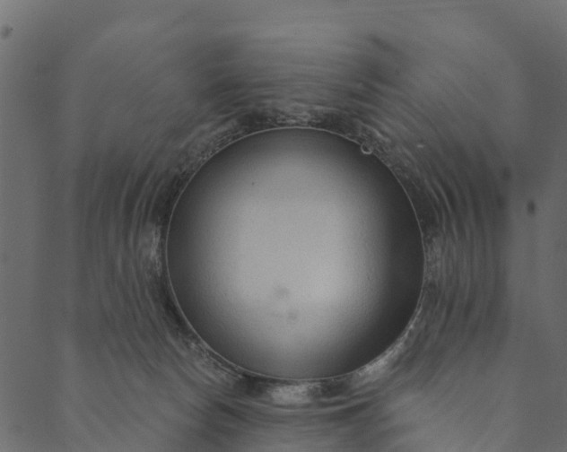 X0000089660178200707121208