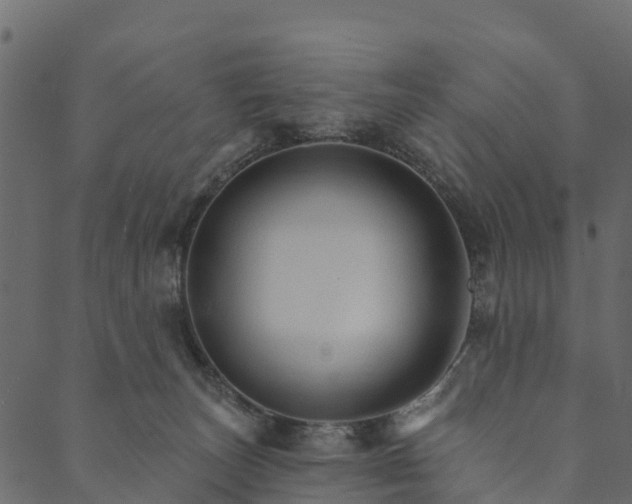 X0000089660179200707121208