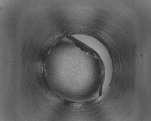 X0000089660180200707121208