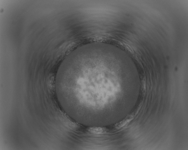 X0000089660181200707121208