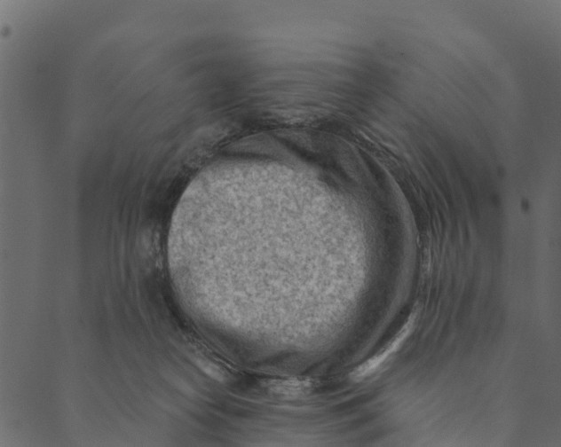 X0000089660182200707121208