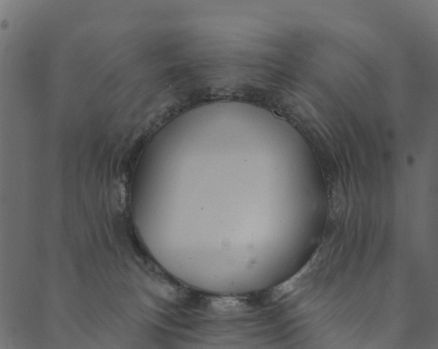 X0000089660183200707121208