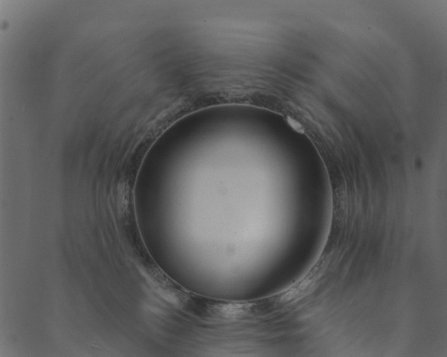 X0000089660184200707121208