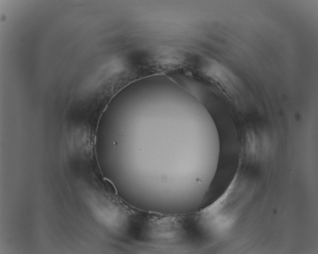 X0000089660186200707121208