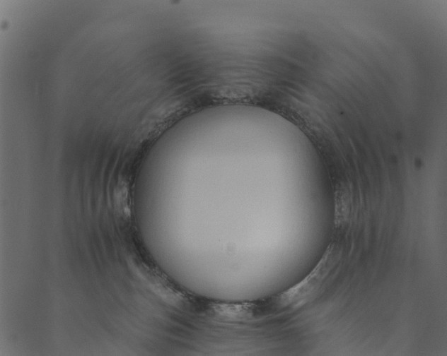 X0000089660187200707121208