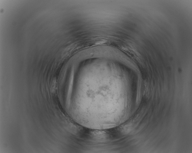 X0000089660189200707121208