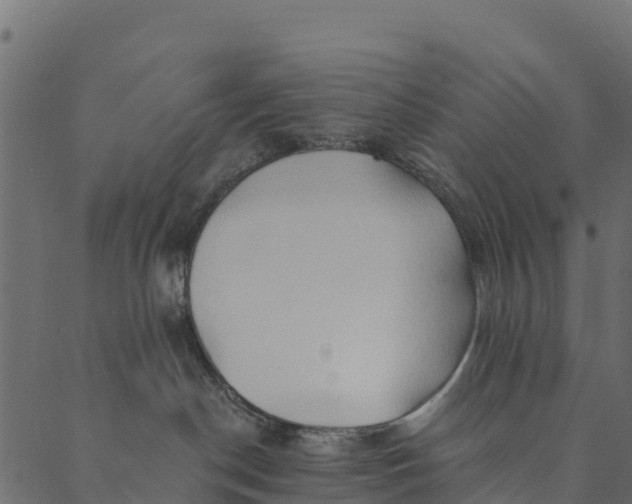 X0000089660190200707121208