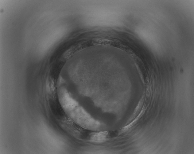 X0000089660191200707121208