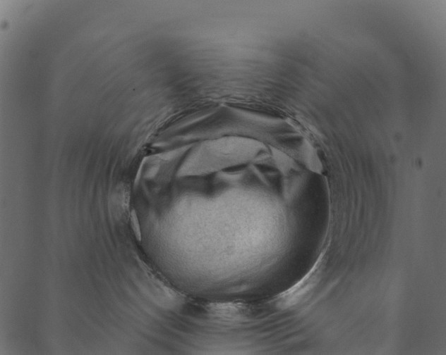 X0000089660192200707121208