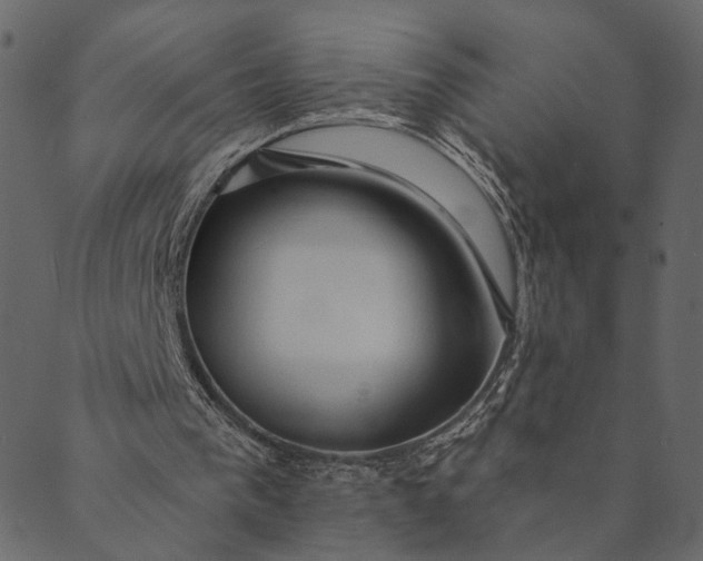 X0000089660193200707121207