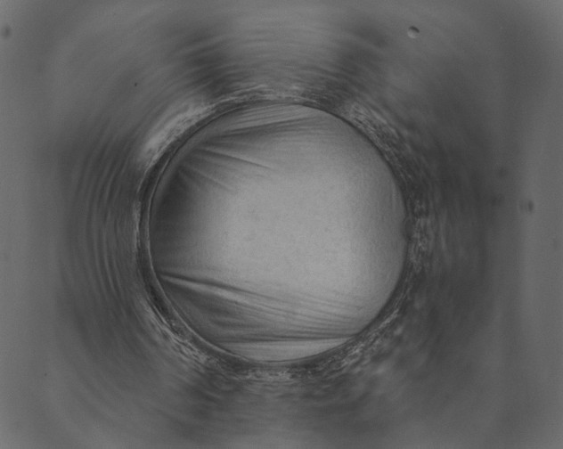 X0000089660194200707121207