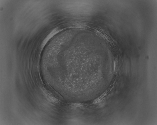 X0000089660195200707121207