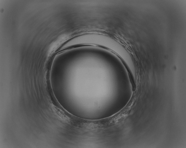 X0000089660197200707121207