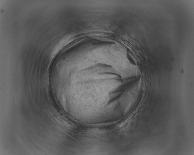 X0000089660198200707121207