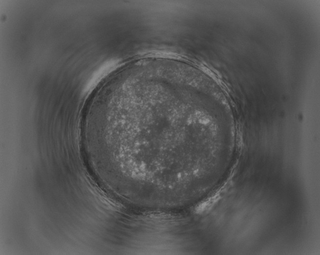 X0000089660199200707121207