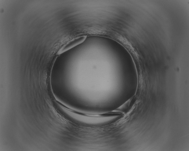 X0000089660201200707121207