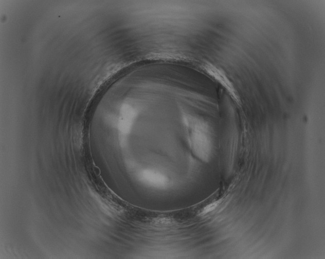 X0000089660204200707121207