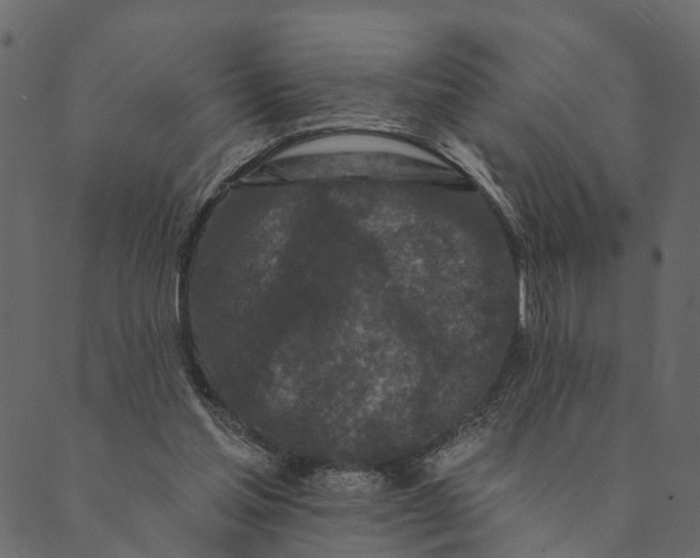 X0000089660205200707121207