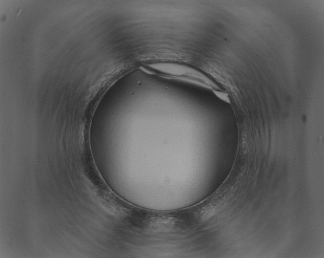 X0000089660206200707121207