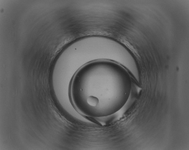 X0000089660207200707121207