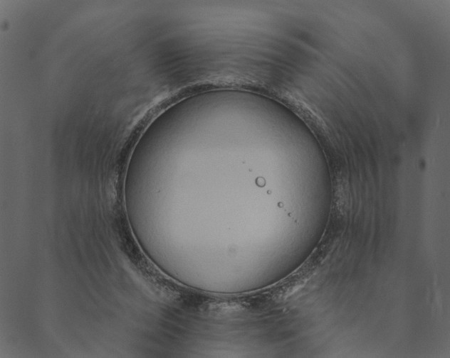 X0000089660208200707121207